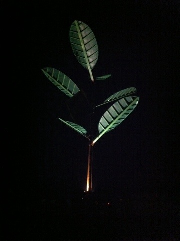 20110806-094849.jpg