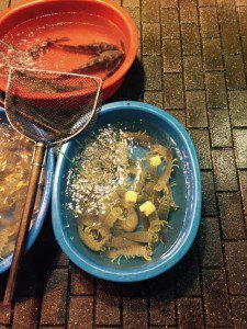 IMG_2469.JPG